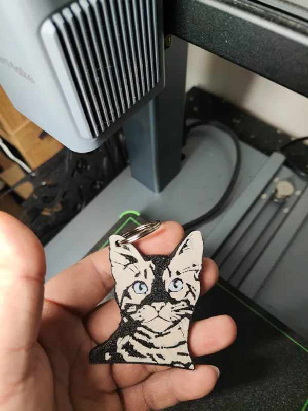 https://makerworld.bblmw.com/makerworld/model/USef635c4d620909/design/2024-01-20_3425a59d98696.jpg