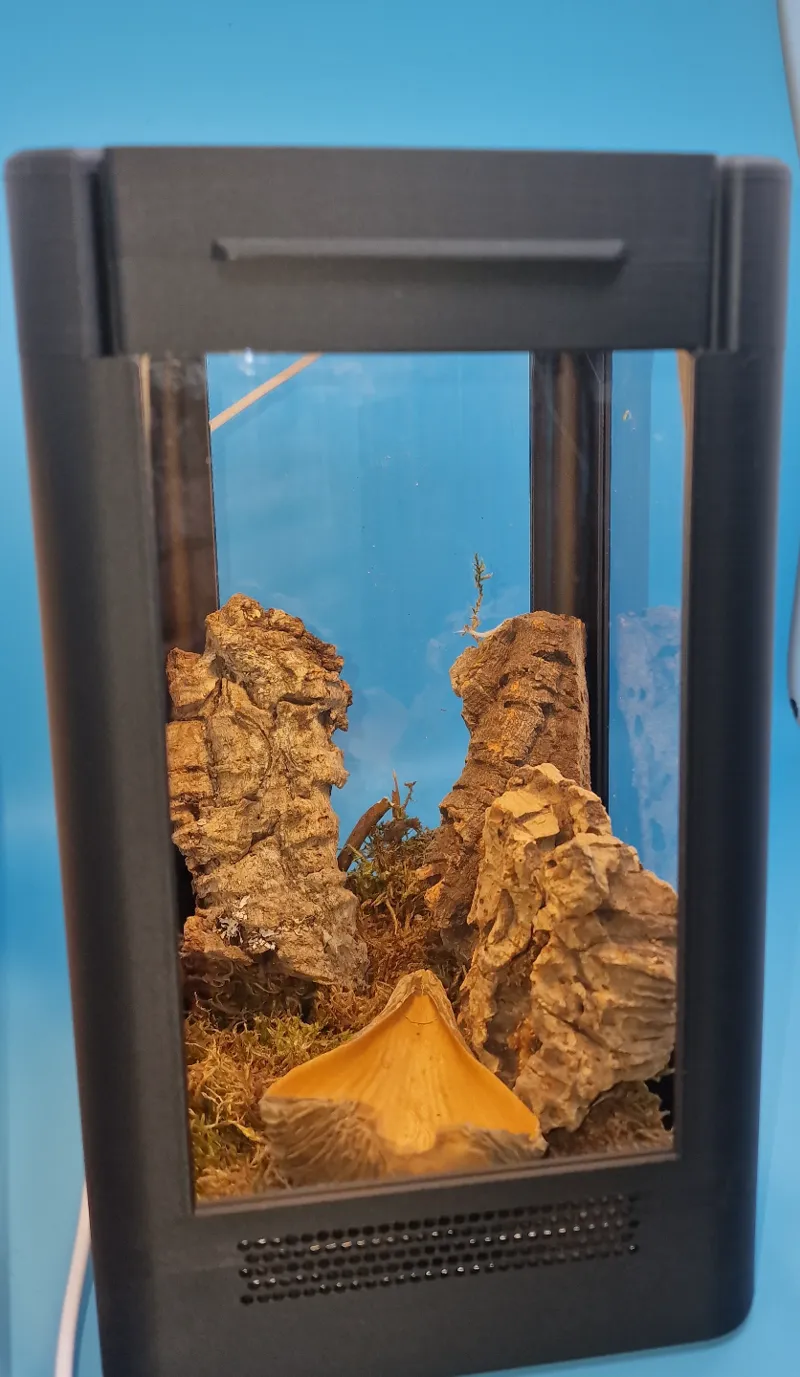 Insectarium