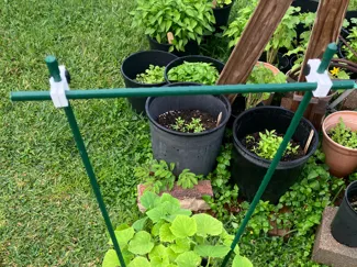 Garden stake connector/ Trellis connector