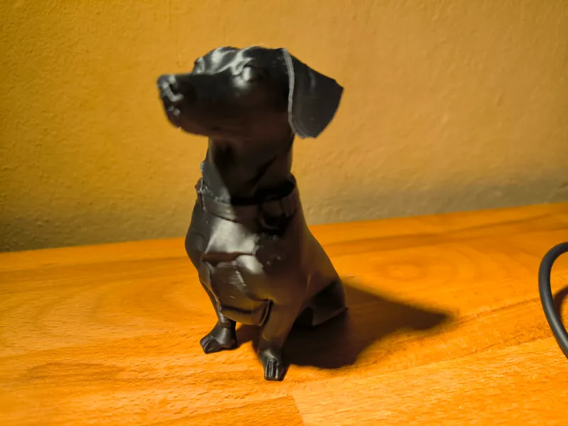 Max Dachshundul