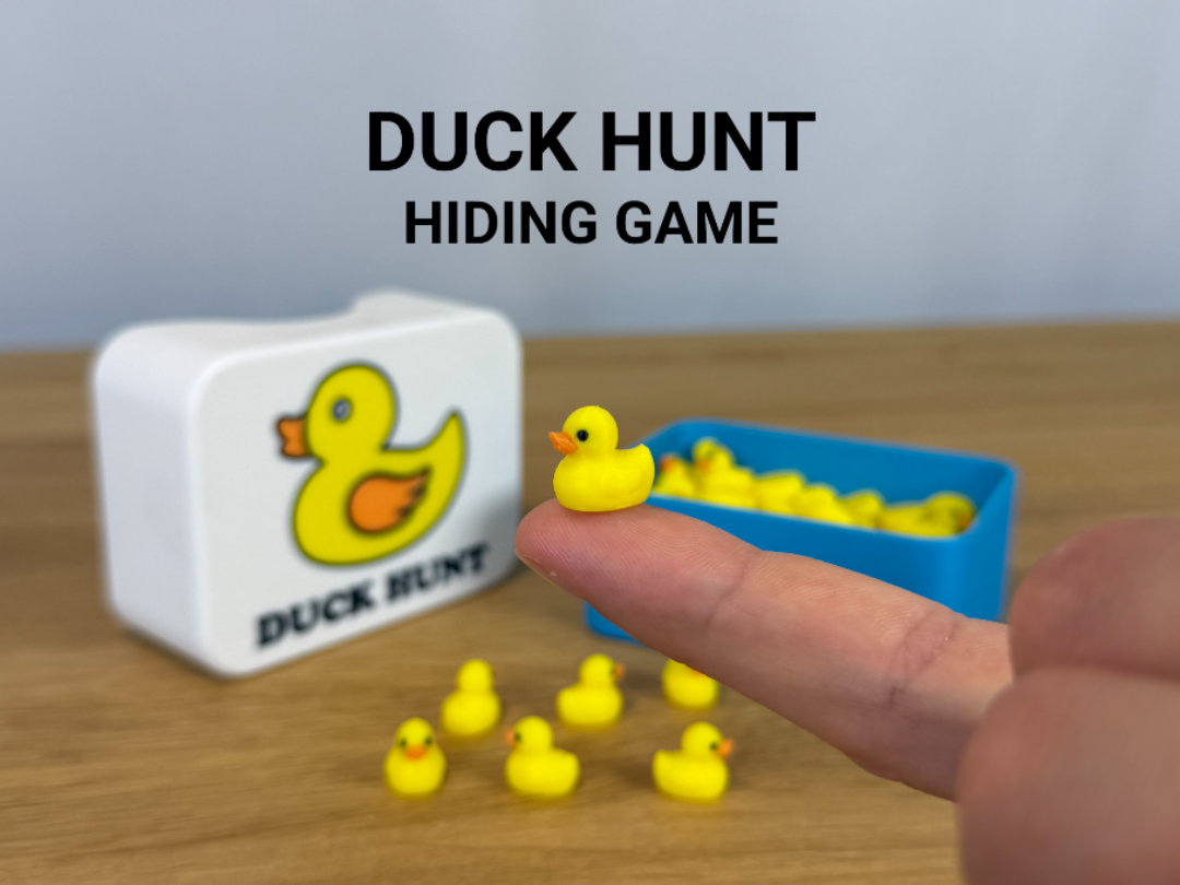 Duck Hunt - Hiding Game