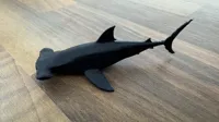 Petit requin-marteau pour fin de bobine — photo 2