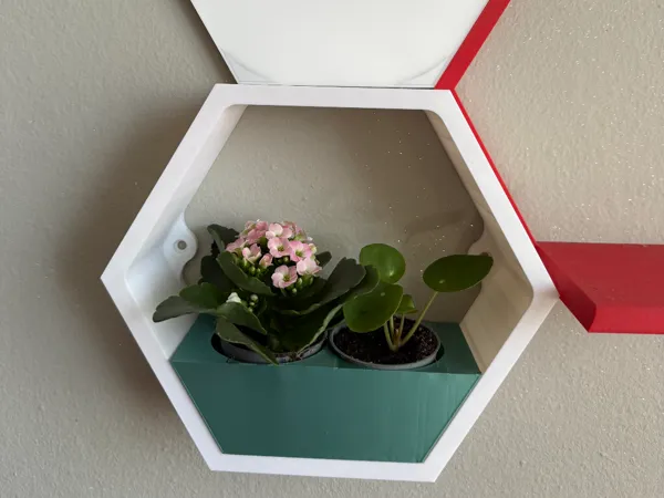 https://makerworld.bblmw.com/makerworld/model/USef73172922dd06/design/bd6d7afa1c048d67.jpeg