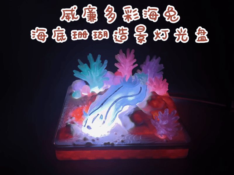 威廉多彩海兔（海蛞蝓）——海底珊瑚造景灯光盘