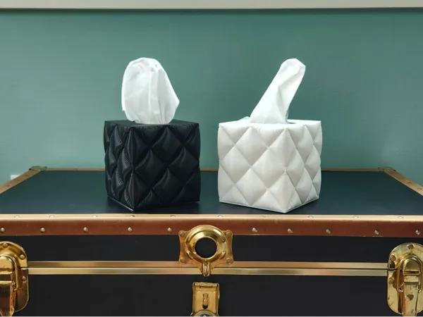 https://makerworld.bblmw.com/makerworld/model/USef7648b8ec24c2/design/2024-08-21_3491902b96e8.jpg