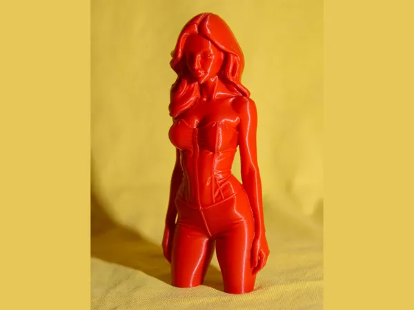 https://makerworld.bblmw.com/makerworld/model/USef76604650e452/design/2c9066d3b71332d7.jpg