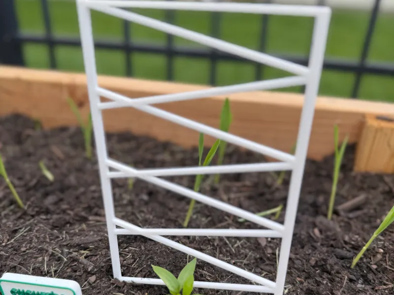 plant support fence