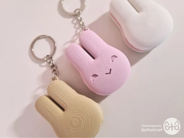 https://makerworld.bblmw.com/makerworld/model/USef7746106b59fd/design/2025-03-04_44c6a2a2d8768.png