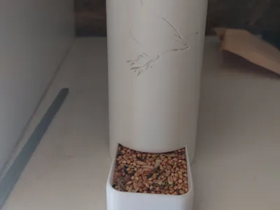 Automatic Bird Feeder