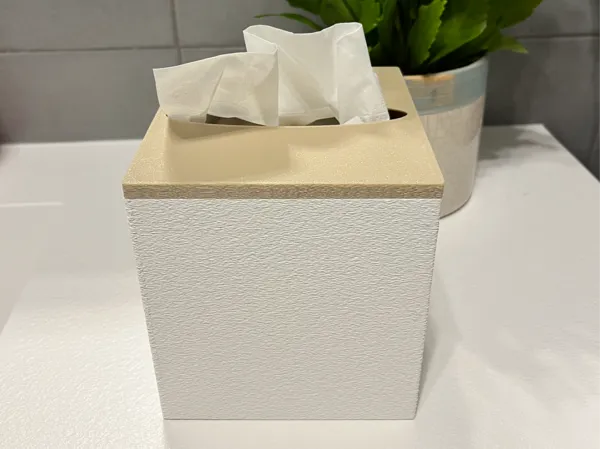 https://makerworld.bblmw.com/makerworld/model/USef7ff780e71630/design/2025-01-23_77017aea32bd7.png