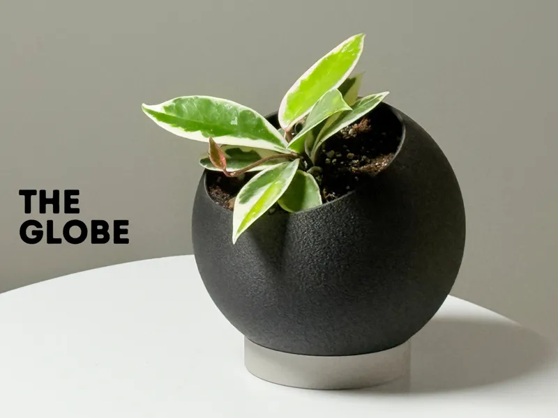 The Globe - Planter