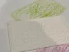 Dino Friends - Single Color