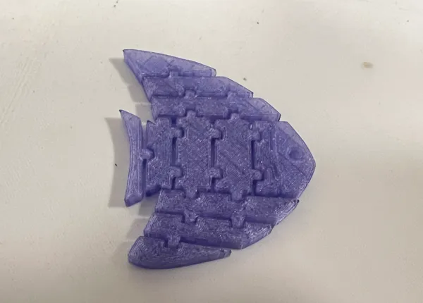 https://makerworld.bblmw.com/makerworld/model/USef8ca832df7a3d/design/2024-12-21_159543e6d9658.jpg
