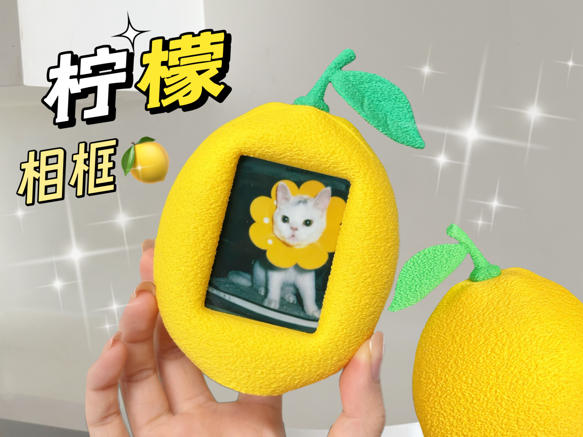 水果相框—柠檬（mini拍立得）