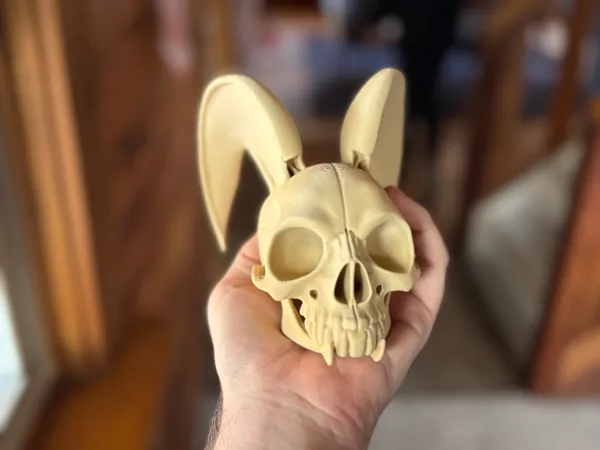 https://makerworld.bblmw.com/makerworld/model/USef95a14b03e7e2/design/2025-03-08_d555e0b8cb4ac.jpg