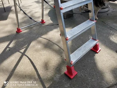 Ladder bases