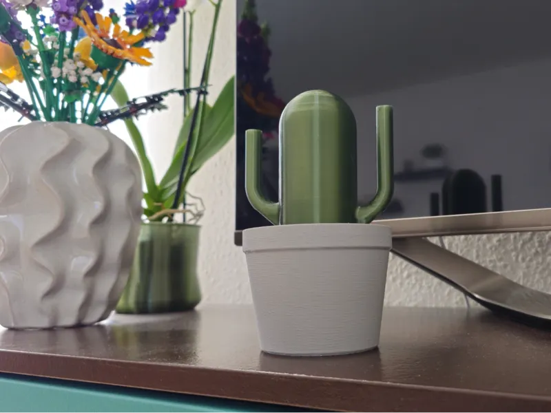 Watering Cactus / Watering can as Cactus