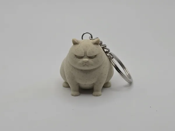 https://makerworld.bblmw.com/makerworld/model/USef9b43e8f50b63/design/2025-05-29_wj73icnydqcs.jpg