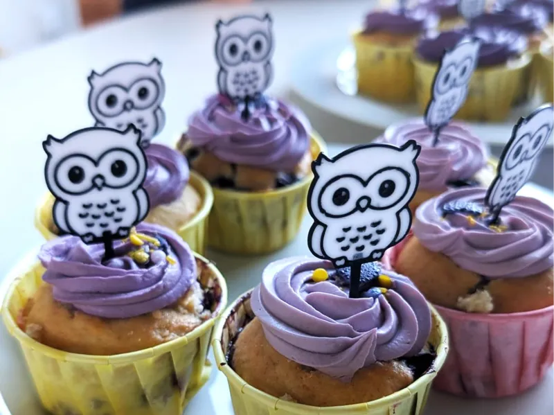 CupCake - Eulen Topper