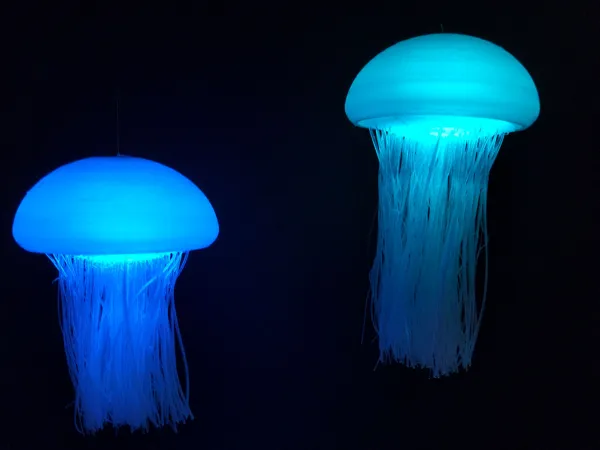 https://makerworld.bblmw.com/makerworld/model/USefa3000a0fc6a0/design/2024-12-27_e9a23a8218a21.jpg