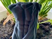 0.2mm layer, 2 walls, 15% infill