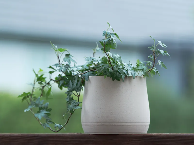 Flowerpot with built-in drainage tray