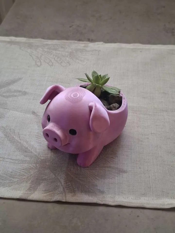Cute Piggy Succulent Planter view 2