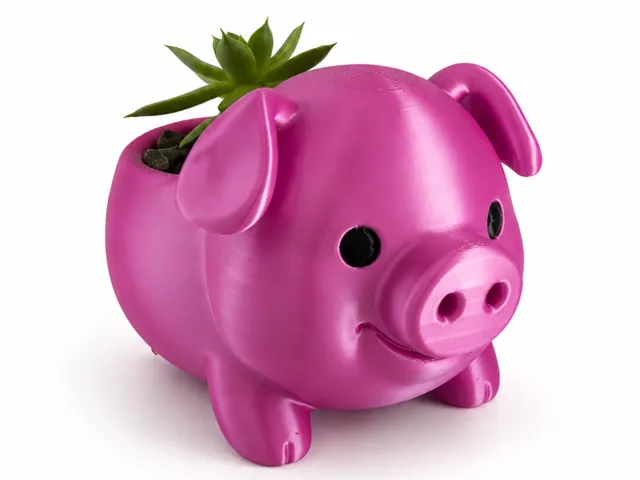 Cute Piggy Succulent Planter