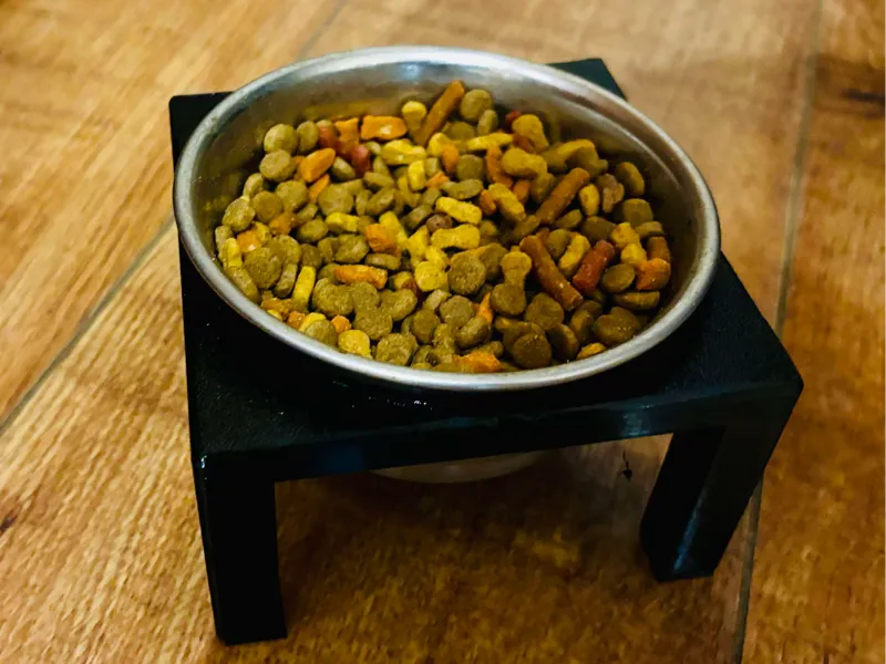 pet food dish holder
