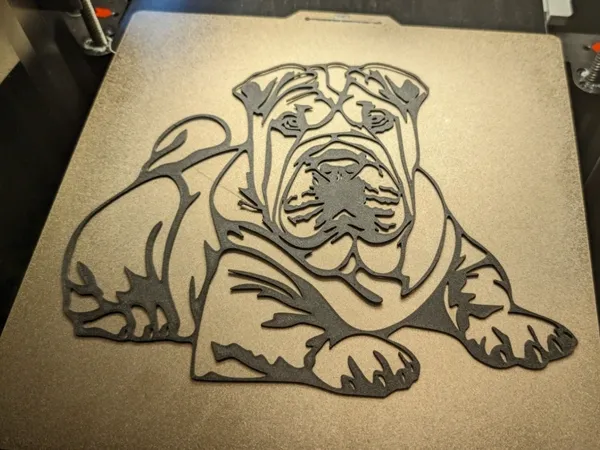 https://makerworld.bblmw.com/makerworld/model/USefb33037c81e4c/design/2024-06-15_596eef5202c07.webp