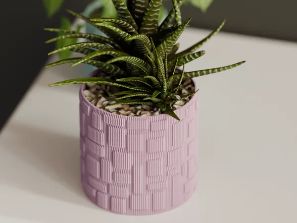 https://makerworld.bblmw.com/makerworld/model/USefb696fea62fcc/design/2024-04-14_7effdef71e5a4.png