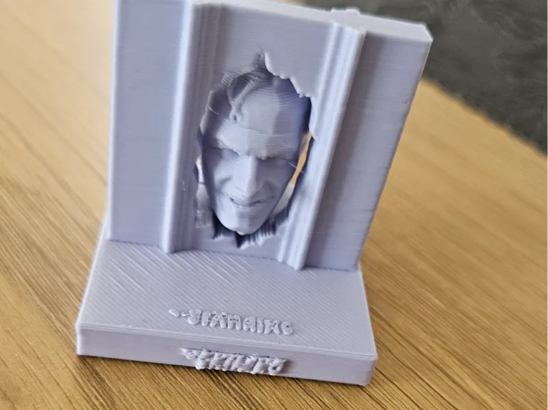 shinning face  bust