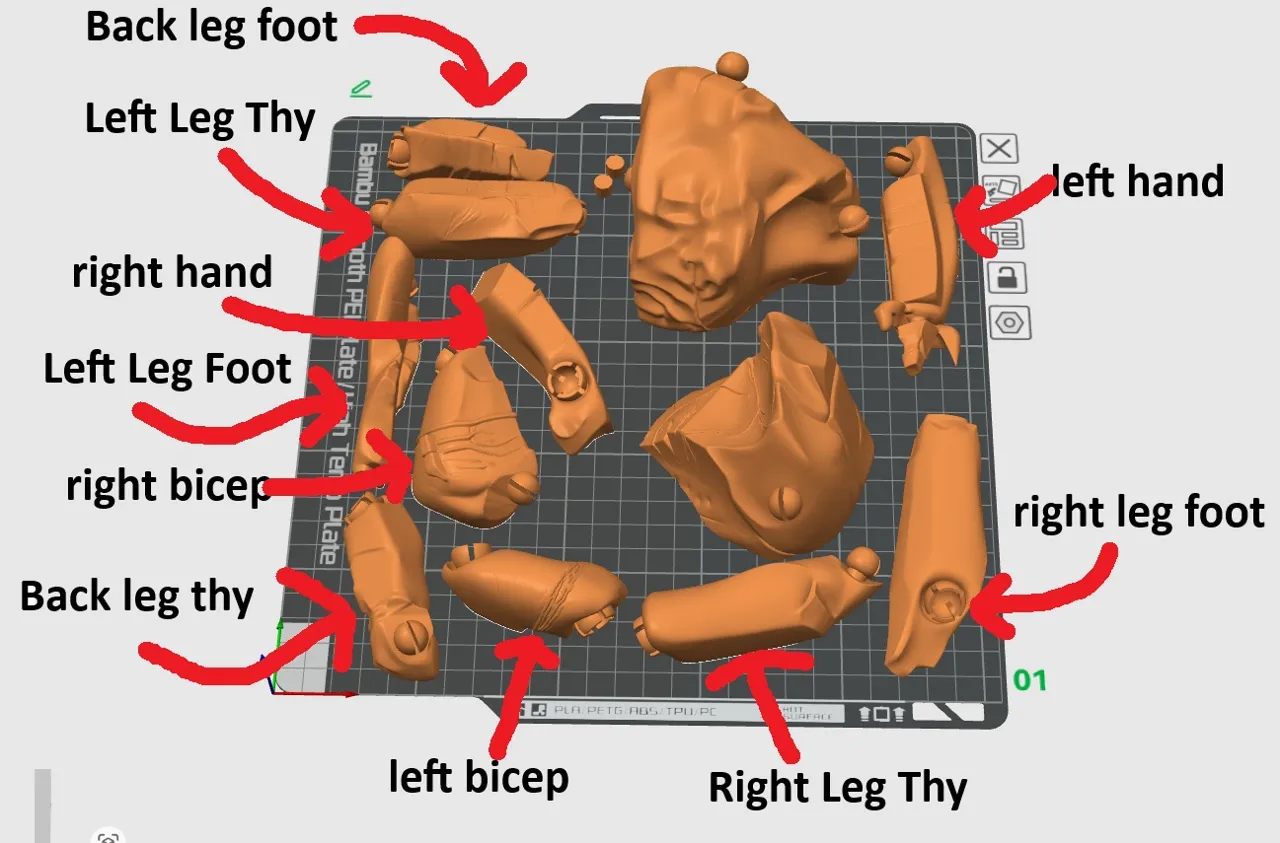 PETG/Nylon Movie-Accurate Rocky Project Hail Mary view 3