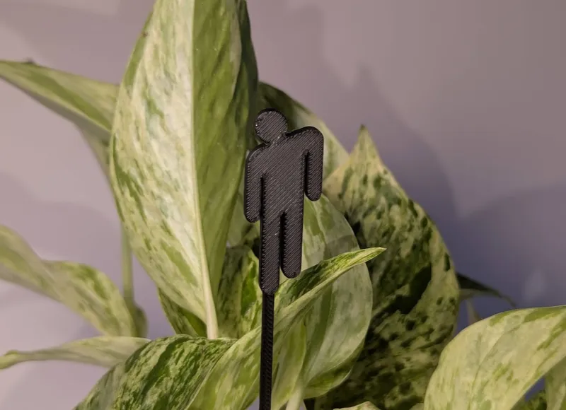 Billie Eilish plant tutor