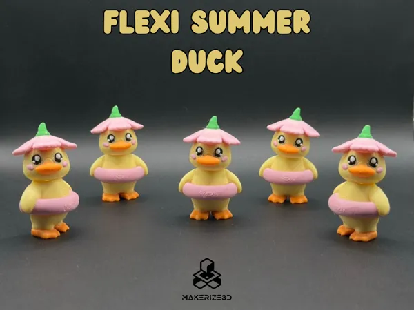https://makerworld.bblmw.com/makerworld/model/USefd01b02f287d2/design/2025-08-01_993090b6534d98.png