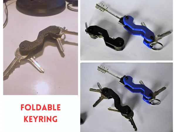 https://makerworld.bblmw.com/makerworld/model/USefd09b9895be43/design/2025-03-30_b0432a096f667.jpg