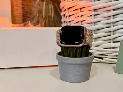 Charging Cactus for Apple Watch MagSafe