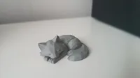 Loup endormi low poly — photo 6