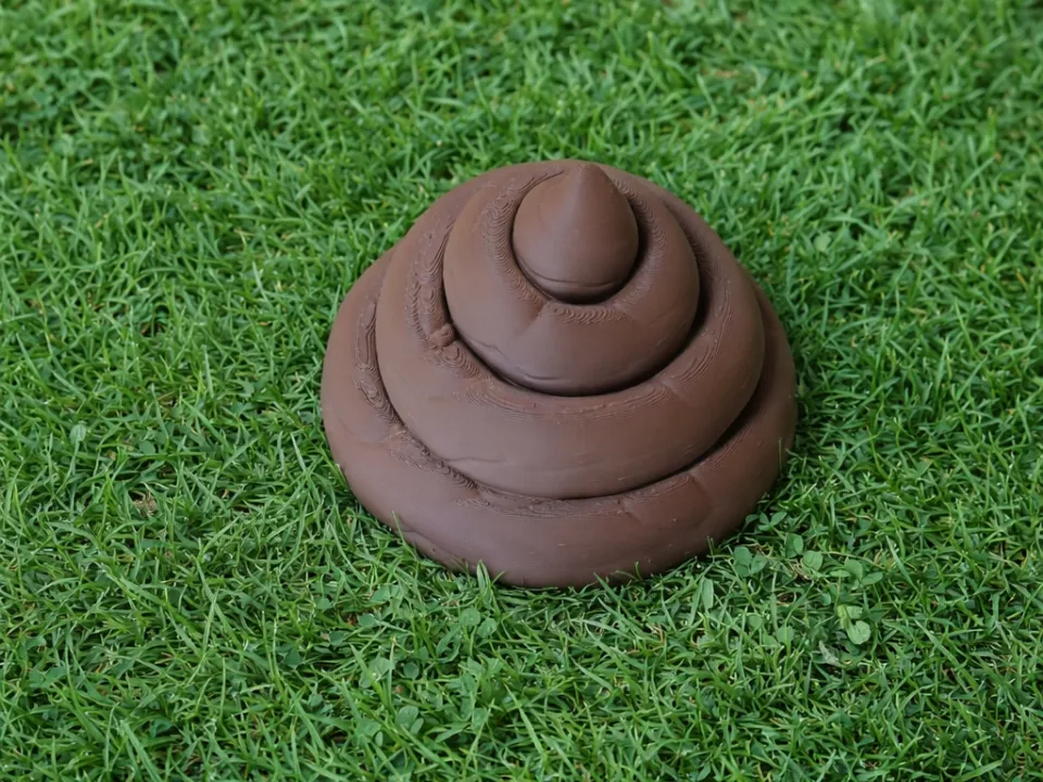 April Fool's Day Prank Poop The Cheeky Floor Bluff - Free 3D Print