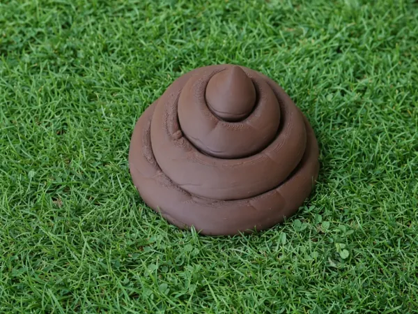 https://makerworld.bblmw.com/makerworld/model/USefdba5b57e484e/design/4f81b971ead93f07.png