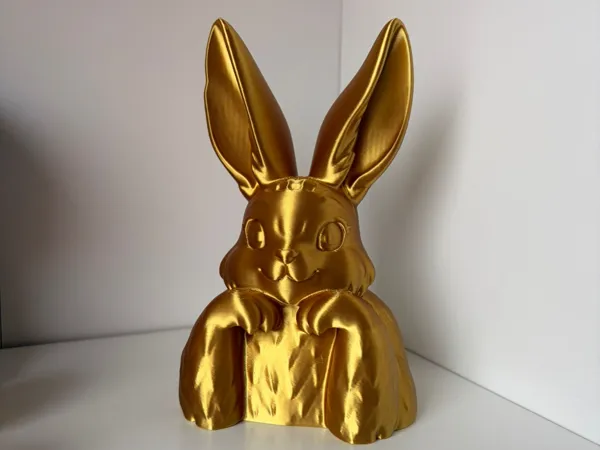 https://makerworld.bblmw.com/makerworld/model/USefdf719e1a2a25/design/1ba125ad5d4930e3.jpeg