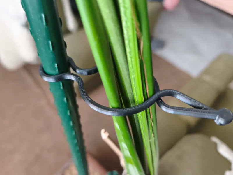 plant clip