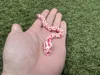 Tiny - Normal