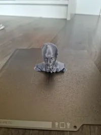 0.08mm layer, 2 walls, 15% infill