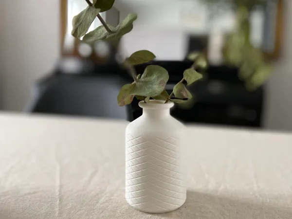 https://makerworld.bblmw.com/makerworld/model/USefe2c0f78ac828/design/2025-02-24_d3498bf6dd627.png