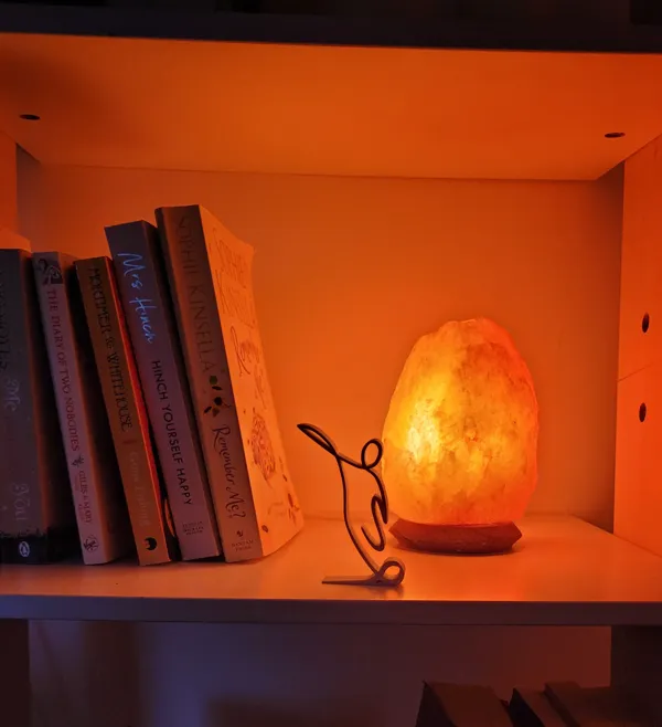 https://makerworld.bblmw.com/makerworld/model/USefe4f27af17797/design/2023-12-24_77602024087f8.jpg