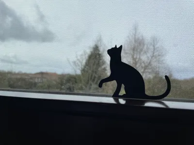 Cat Silhouette