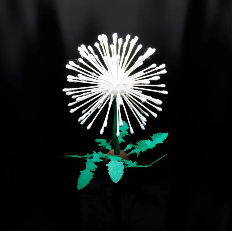 Dandelion Q-Tip Holder