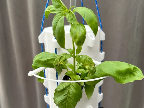 https://makerworld.bblmw.com/makerworld/model/USefe942e2b23165/design/2025-05-10_22e1a2a5cfc73.jpg