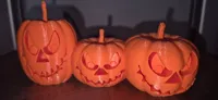 Trio de citrouilles décoratives — photo 2